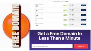 Read more about the article Free Domain Registration for 1 Year 100% .TK .ML .GA .CF .GQ for Blog or Personal Website Hosting