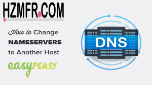 Read more about the article How to change the DNS (Domain Nameservers) of my domain? – HZMFR.COM