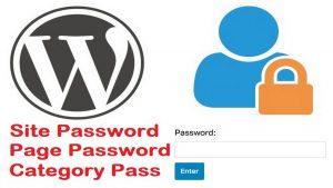 Read more about the article How to Protect a WordPress Site with Password , Categories & Posts/Pages Secure Your Preferred Pages